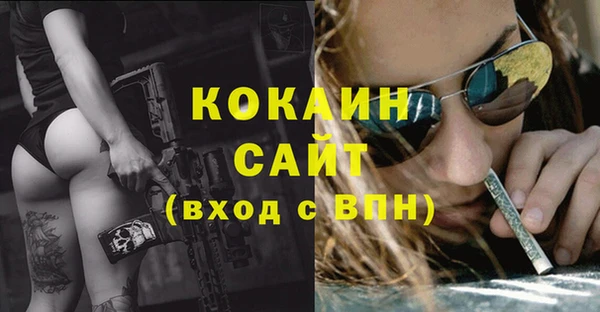 не бодяженный Новозыбков